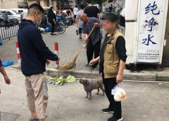 人工智能学工具快